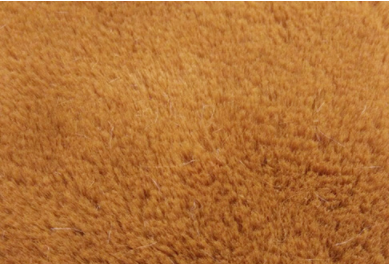 長毛絨棕