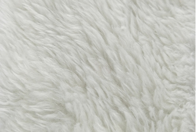 長(zhǎng)毛絨白